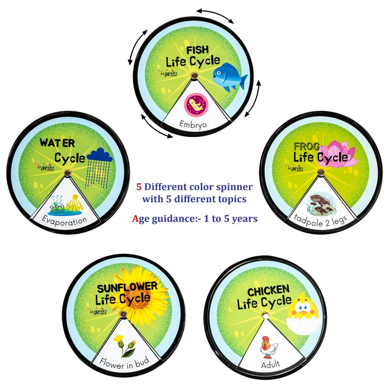 Lifecycle (Stages A Living Thing Goes Through)