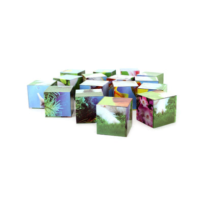 Educational Puzzle Cube Pet Animal