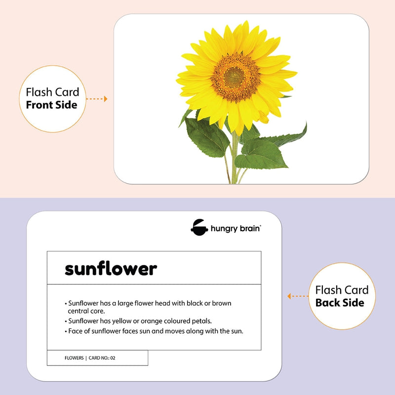 Educational - Flowers Flash Cards for Kids Early Learning