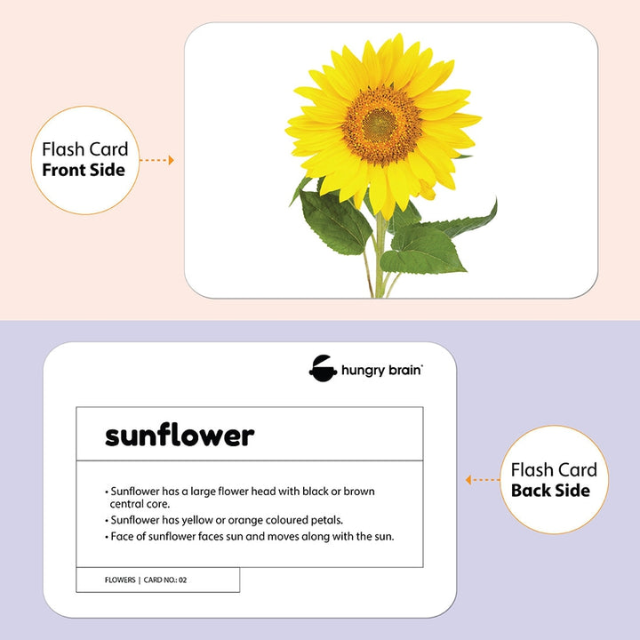 Educational - Flowers Flash Cards for Kids Early Learning