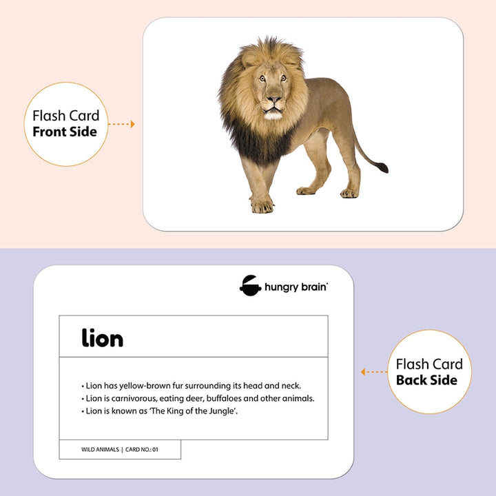 Educational Wild Animals Flash Cards for Kids Early Learning