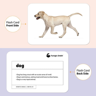 Educational Domestic Animals Flash Cards for Kids Early Learning