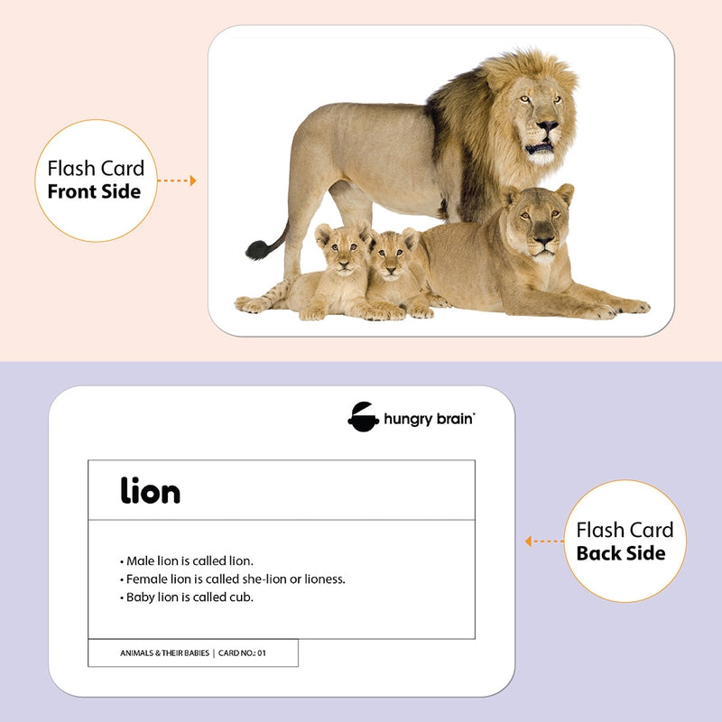 Educational Animals & Their Babies Flash Cards for Kids Early Learning