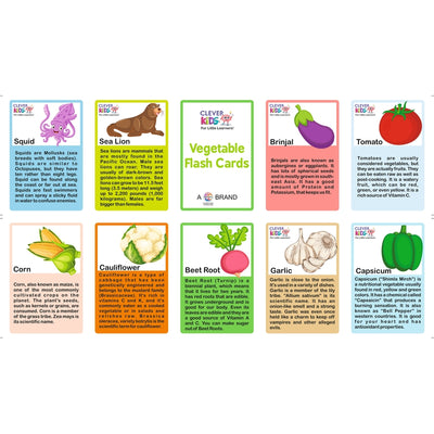 8 in 1 Flash Cards (Educational Flash Cards)