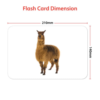 Educational Domestic Animals Flash Cards for Kids Early Learning