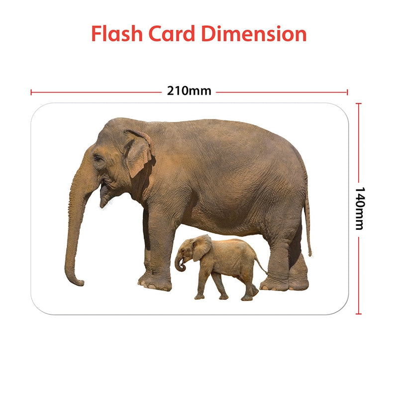 Educational Animals & Their Babies Flash Cards for Kids Early Learning