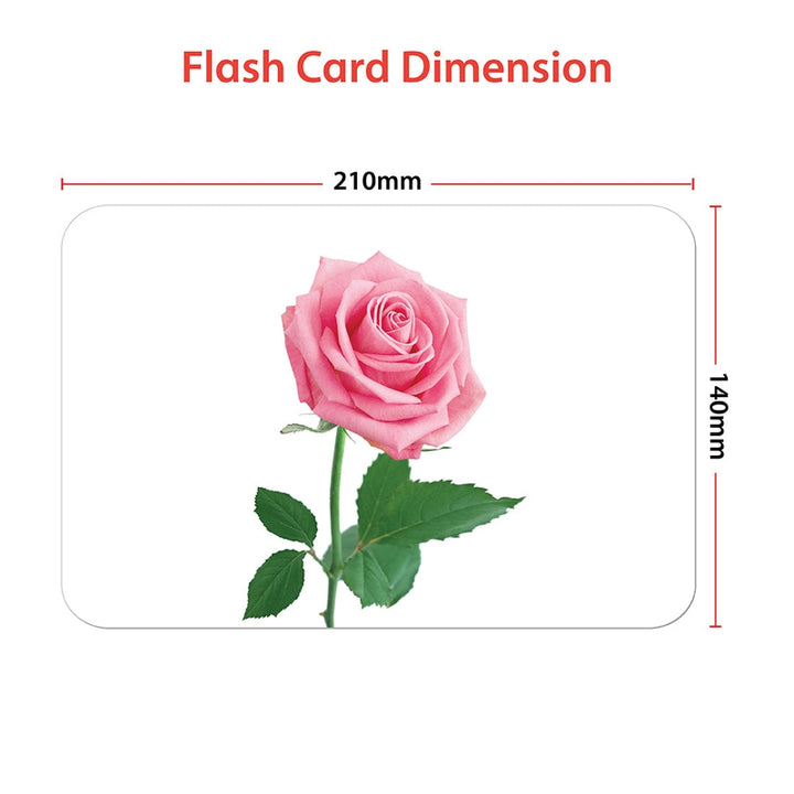 Educational - Flowers Flash Cards for Kids Early Learning