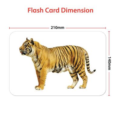 Educational Wild Animals Flash Cards for Kids Early Learning