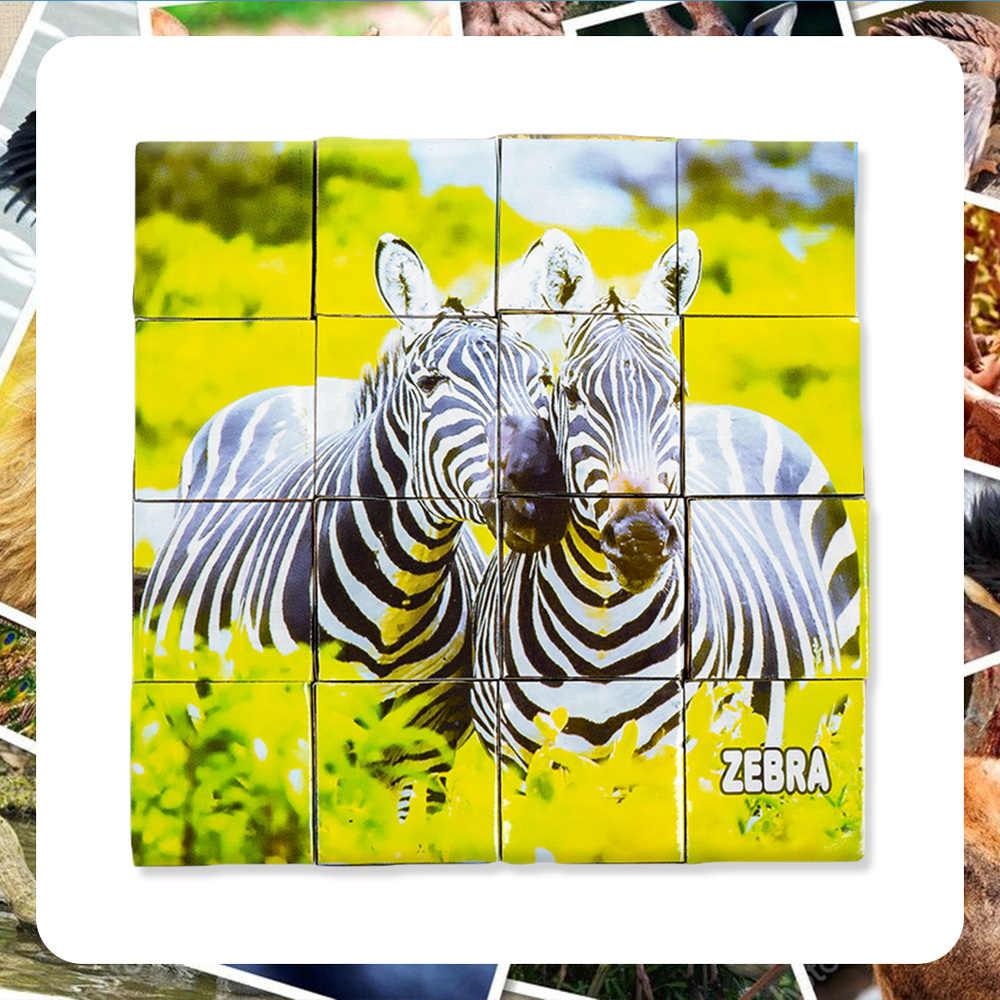 Zebra Block (Picture Block Set)