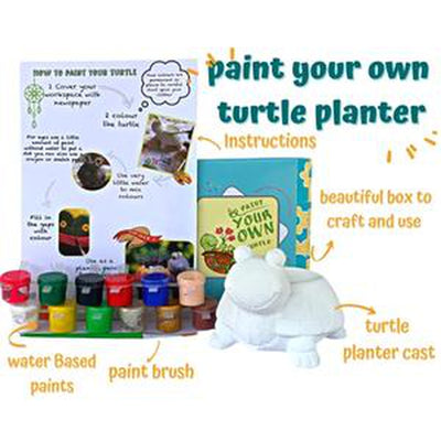 DIY - Turtle Painting Art & Craft Activity Kit