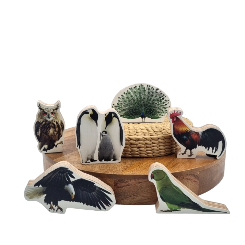 Birds Wooden Toys for Kids- 12 Pieces