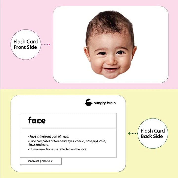 Educational Body Parts Flash Cards for Kids Early Learning