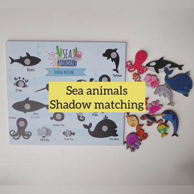 Sea Animals Shadow Matching Activity