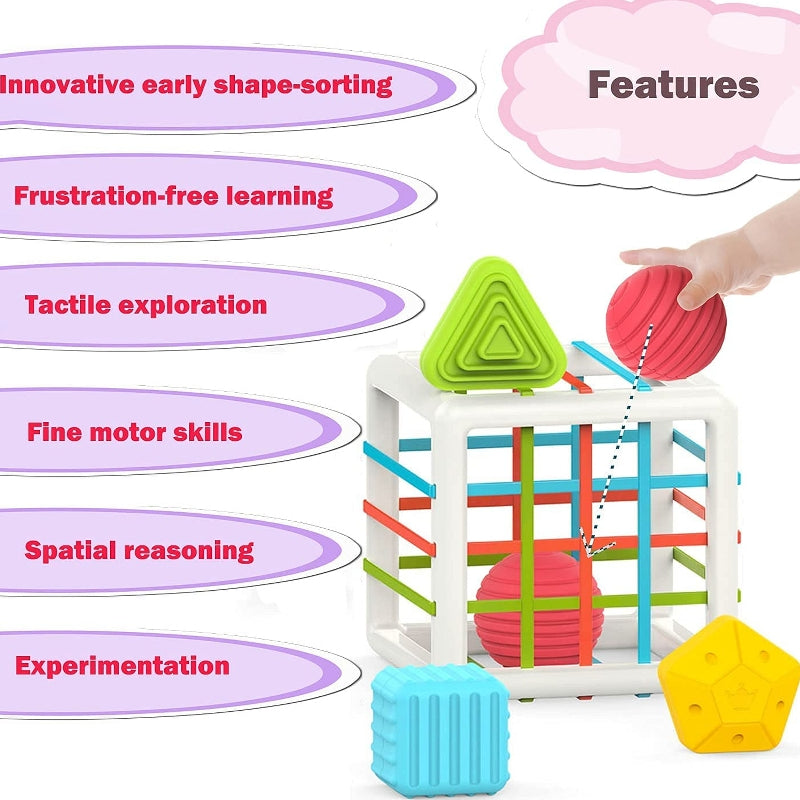 Shape Sorting Montessori Learning Educational Toy