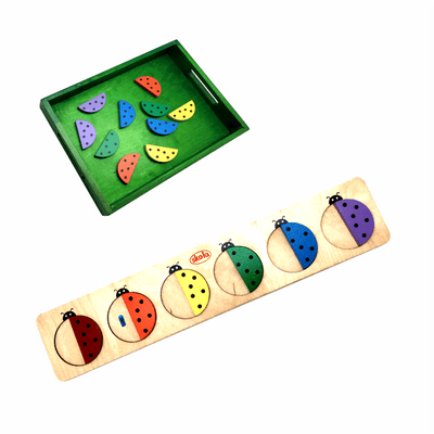 Coloured Beetles - Wooden Board