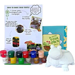 DIY - Turtle Painting Art & Craft Activity Kit