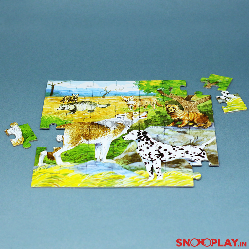 Animals Puzzles (Series 6) - Set of 4 Jigsaw Puzzles