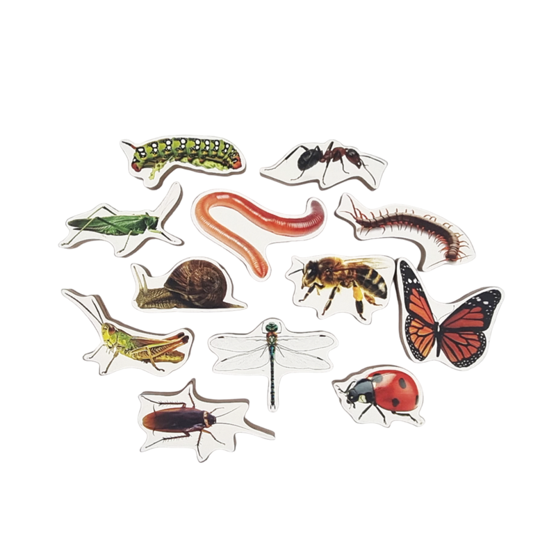 Insects Wooden Toys for Kids- 12 Pieces