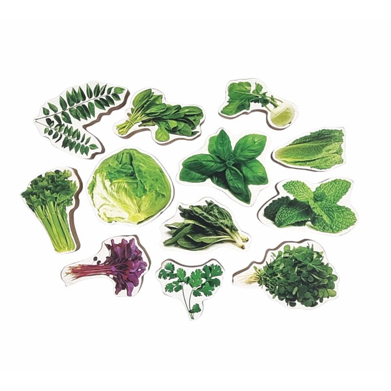Leafy Vegetables Wooden Toys for Kids- 12 Pieces