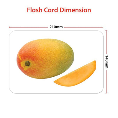 Pack of 10 Basic-  Flash Cards for Kids | 240 Image Flash Cards