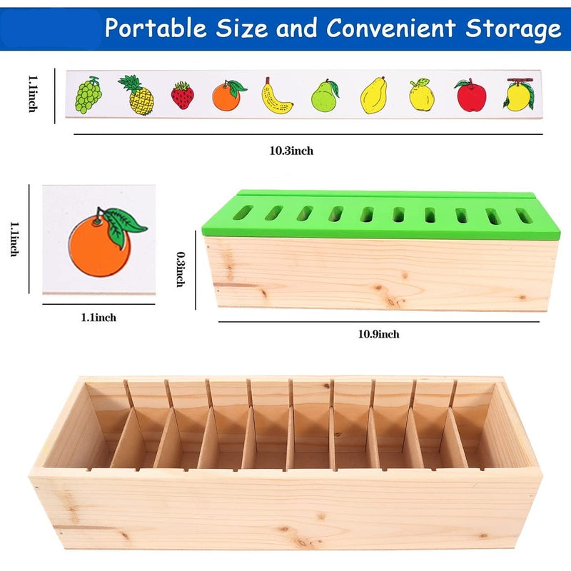 Classification Sorting Box (Learning Educational Activities)