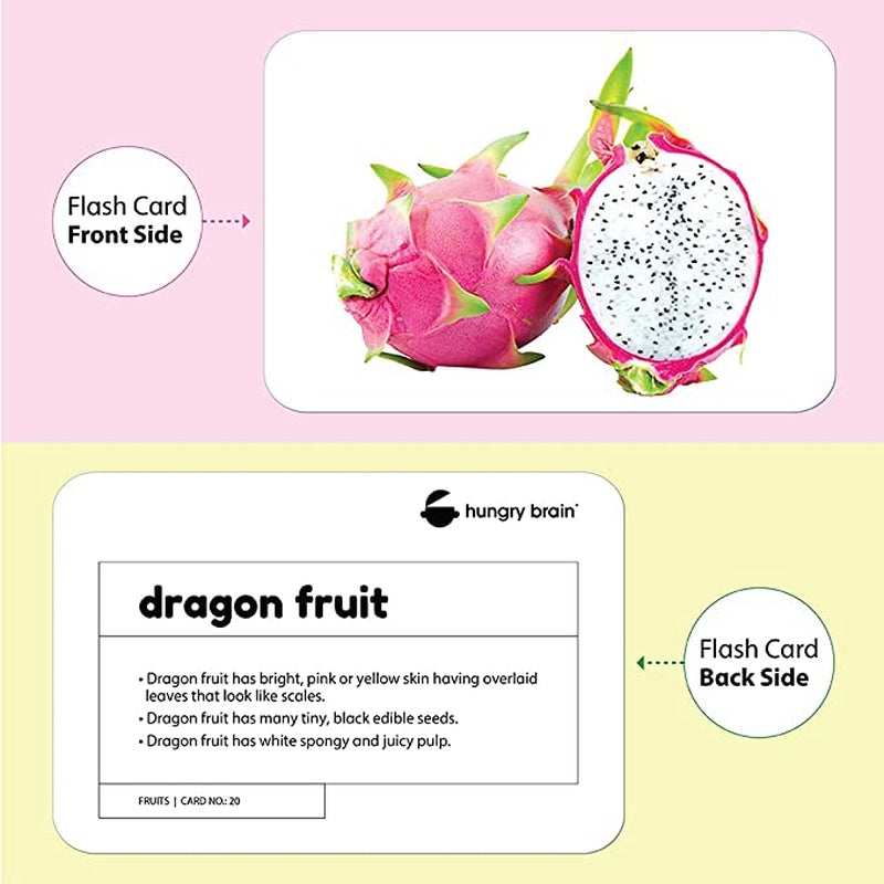 Pack of 10 Basic-  Flash Cards for Kids | 240 Image Flash Cards