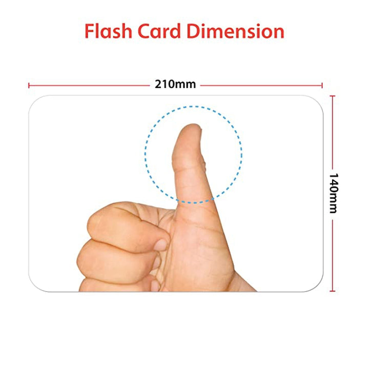 Body Parts Education Flash Card for Kids