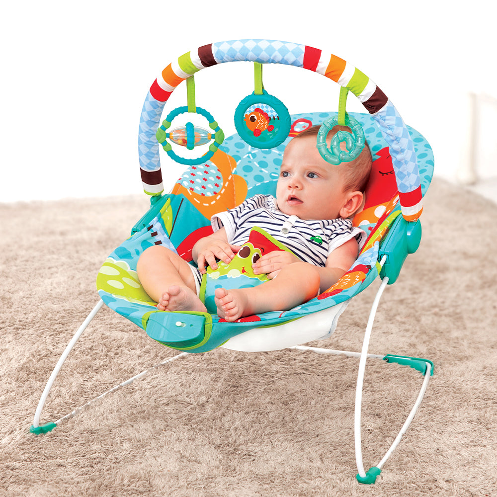 Soothing Vibration Bouncer -Teal