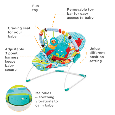 Soothing Vibration Bouncer -Teal