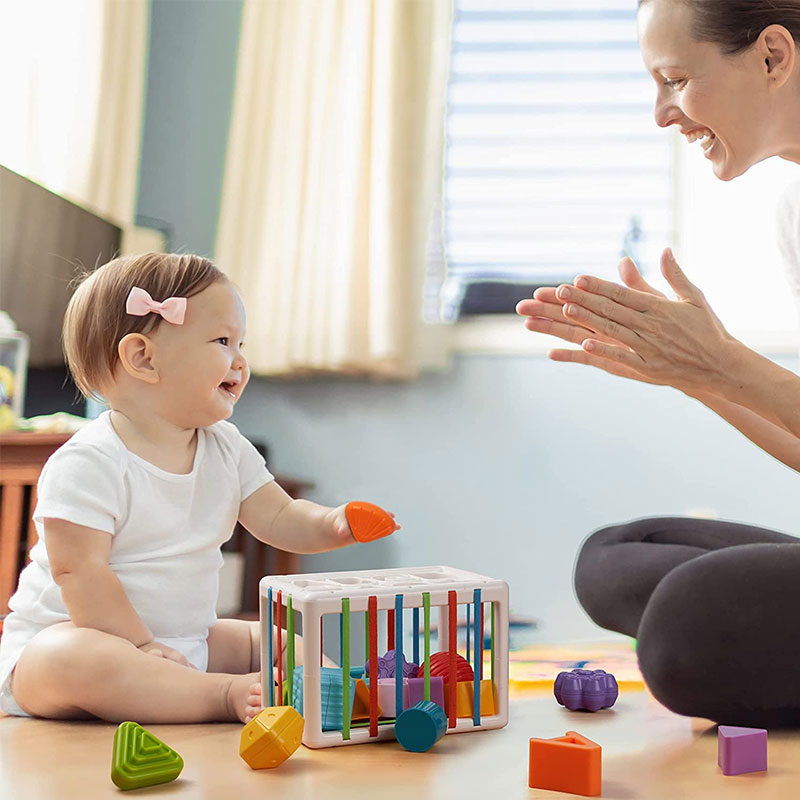 Shape Sorting Montessori Learning Educational Toy