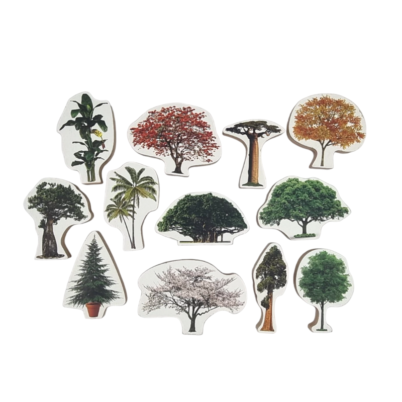 Wooden Trees Toy Set
