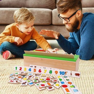 Classification Sorting Box (Learning Educational Activities)