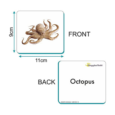 Aquatic Animals Flash Cards