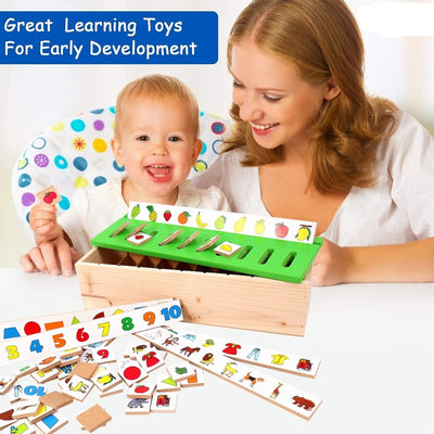 Classification Sorting Box (Learning Educational Activities)