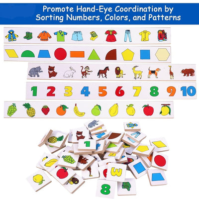 Classification Sorting Box (Learning Educational Activities)