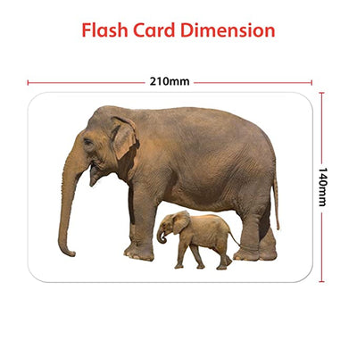 Animal & Babies Education Flash Card for Kids