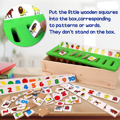 Classification Sorting Box (Learning Educational Activities)