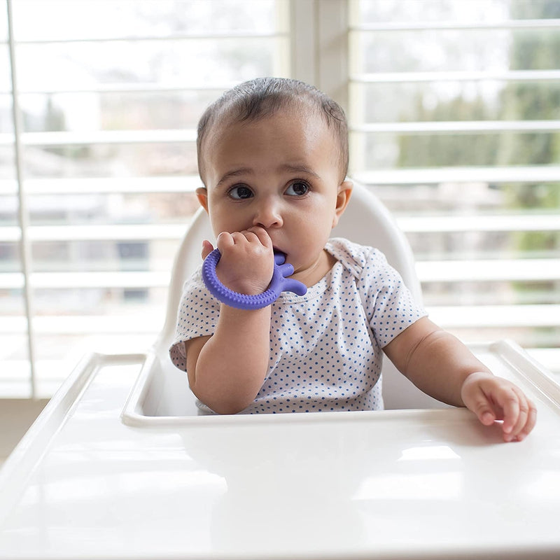 Playtime Teether & Rattle Flexees Friends Teether Octopus