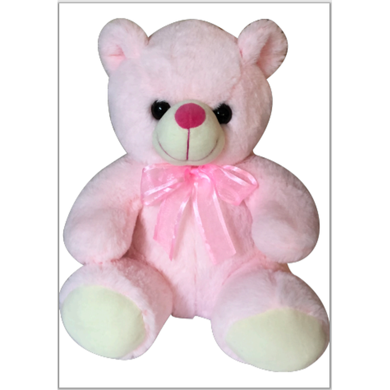  Soft Toy- Teddy Bear Small