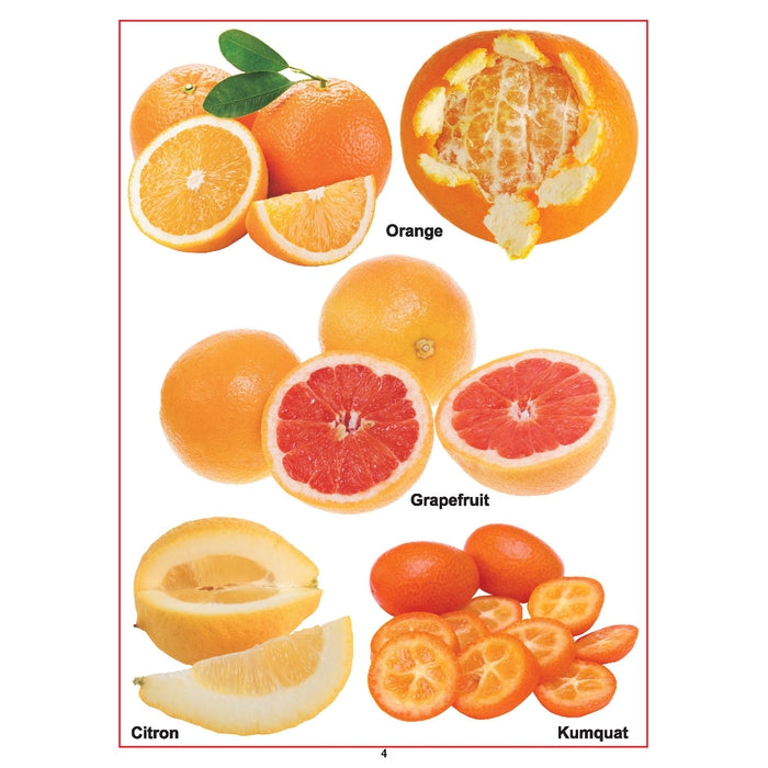 Baby's First Pre-School Series - Fruits Book