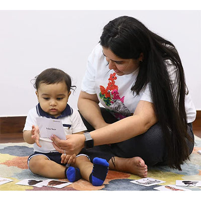 Animals And Their Young One's Flash Cards