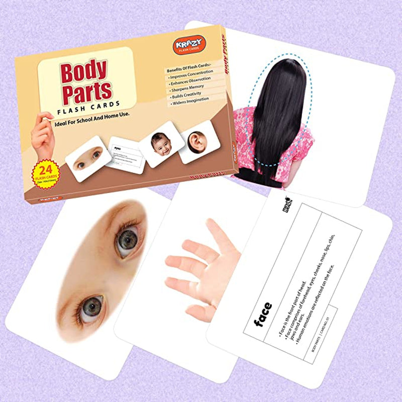 Body Parts Education Flash Card for Kids