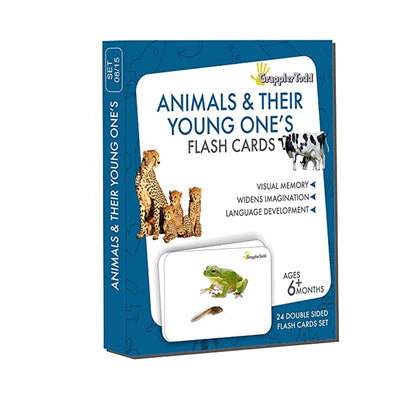 Animals And Their Young One's Flash Cards