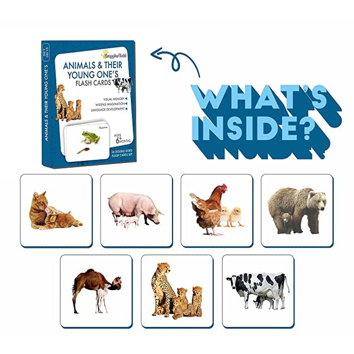 Animals And Their Young One's Flash Cards