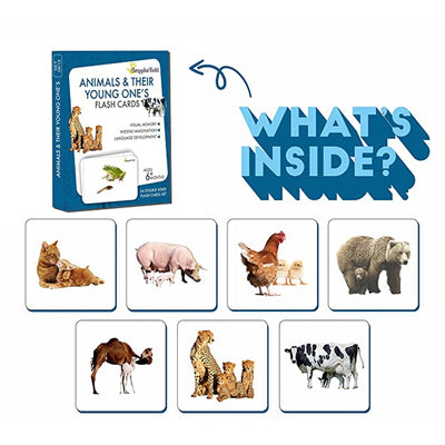 Animals And Their Young One's Flash Cards