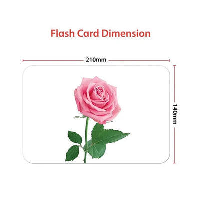 Flowers Education Flash Card for Kids