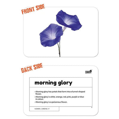 Flowers Education Flash Card for Kids