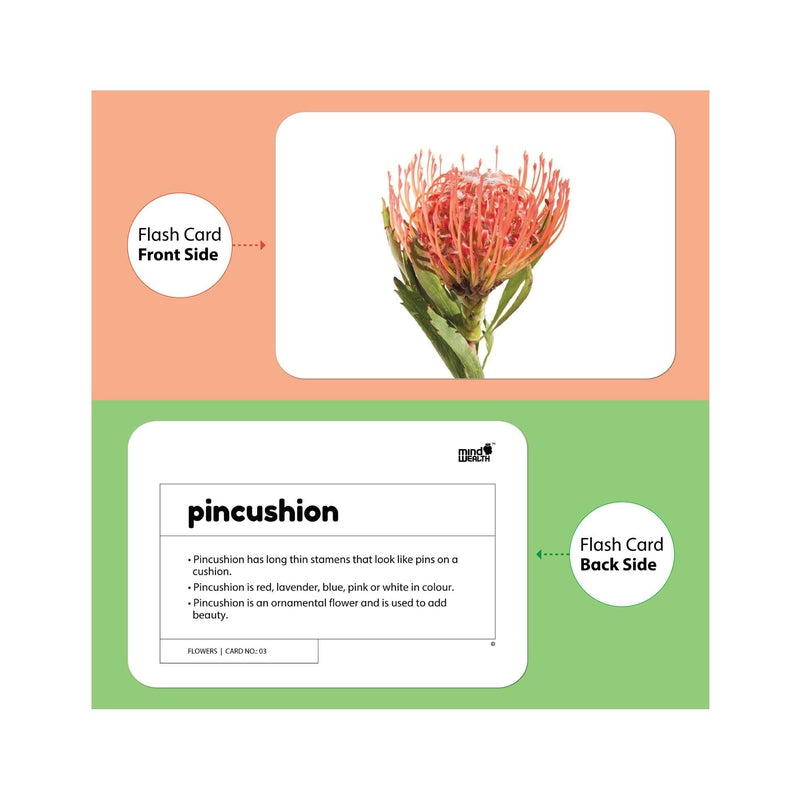 Flowers Education Flash Card for Kids