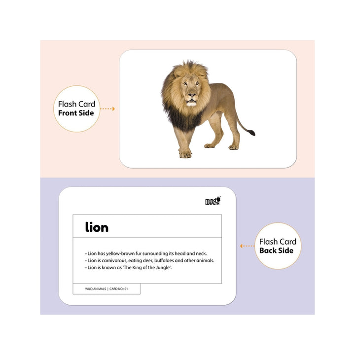 Wild Animals Education Flash Card for Kids