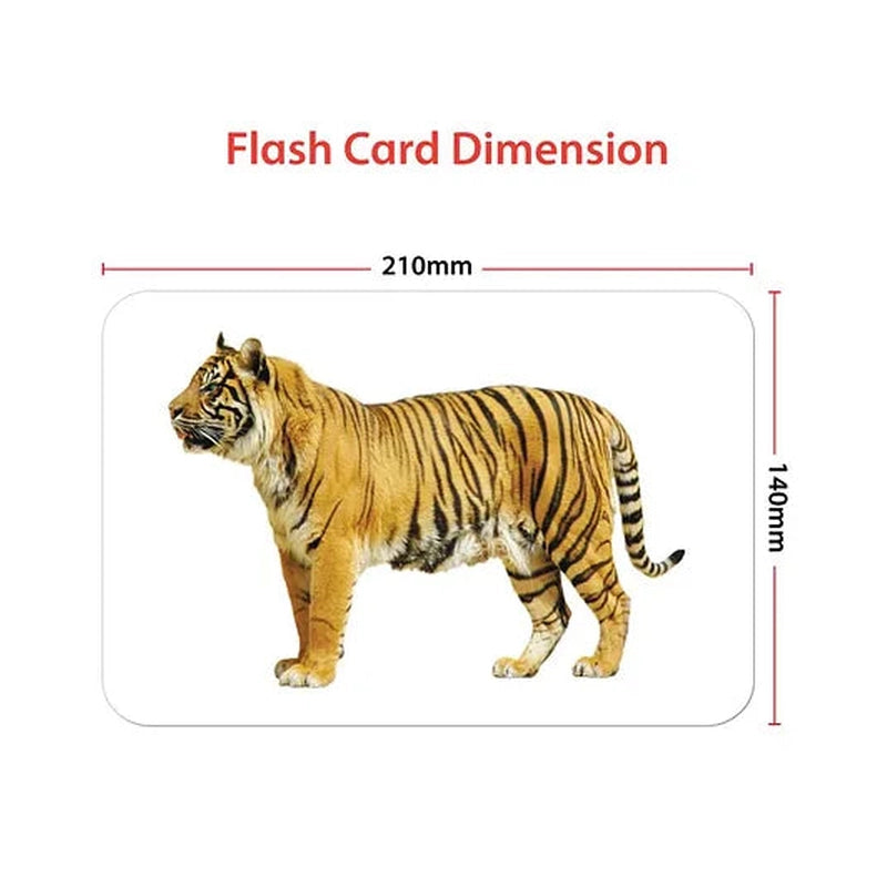 Wild Animals Education Flash Card for Kids